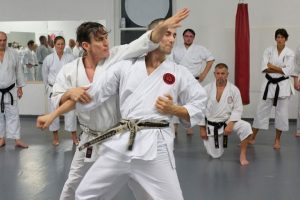 Popular benefits of learning Shotokan karate - Femex Karate: Martial