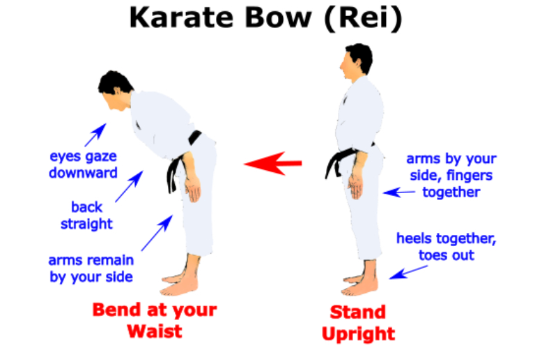 Karate Rules Femex Karate Martial Arts Training Center